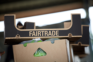 Fairtrade highlights Ecuador and Colombia’s progress in increasing banana wages